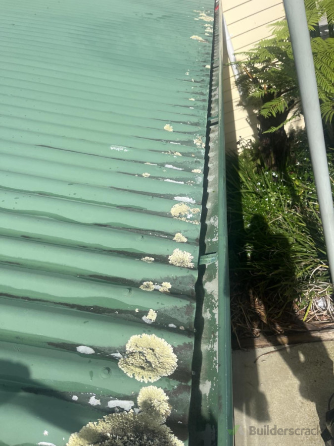 Roof before beginning