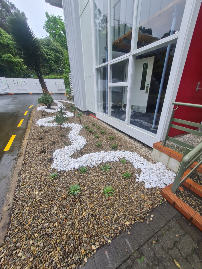 Makeover on old succulent garden.