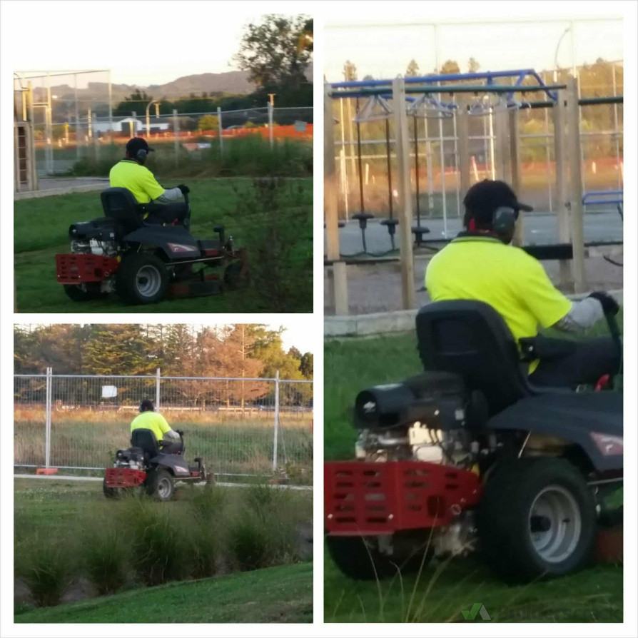 Fortnightly lawn maintenance