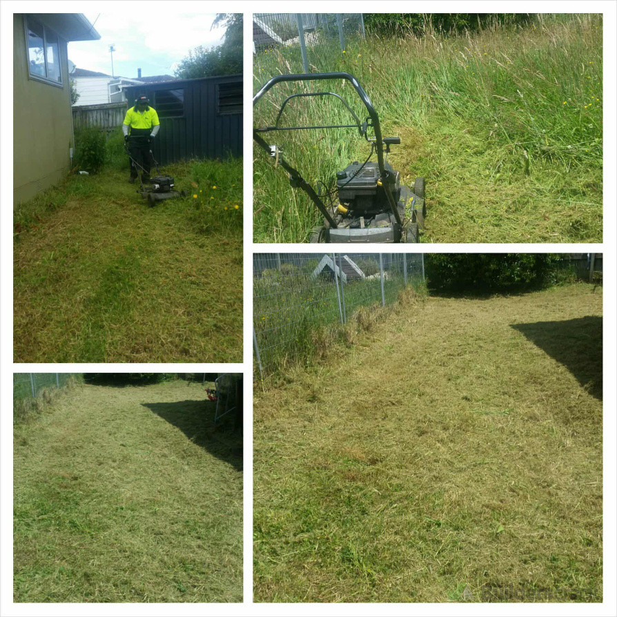 Over grown lawn - Tidy up