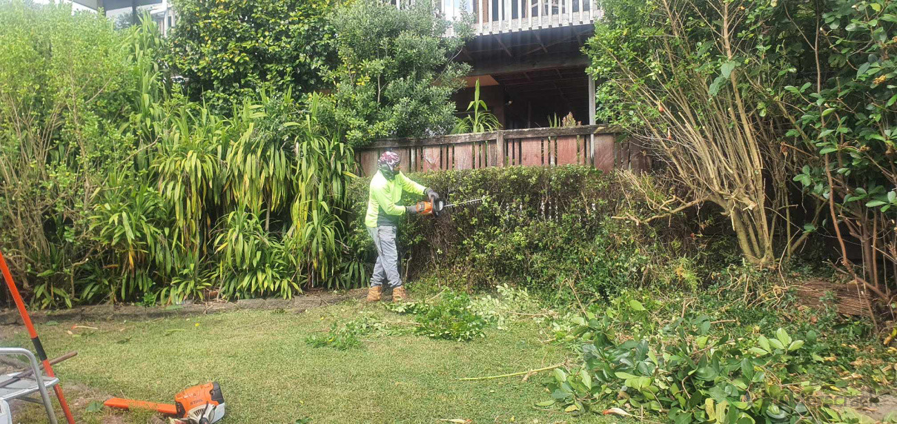 Hedge Trimming