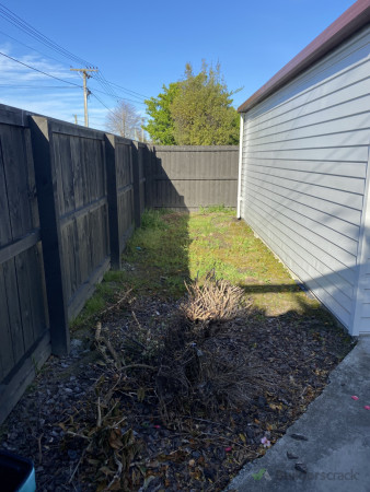 Behind the garage before weed clearing and levelling