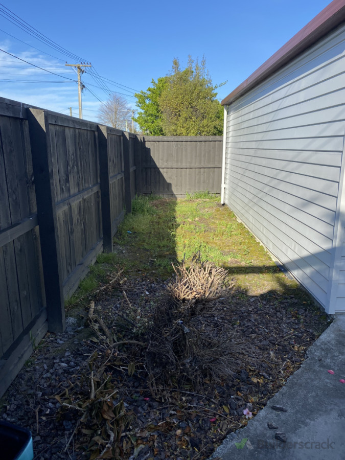 Behind the garage before weed clearing and levelling