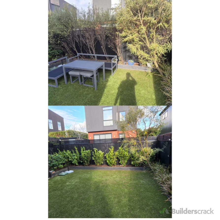 Old trees removed and replaced with lovely new hedge plants.