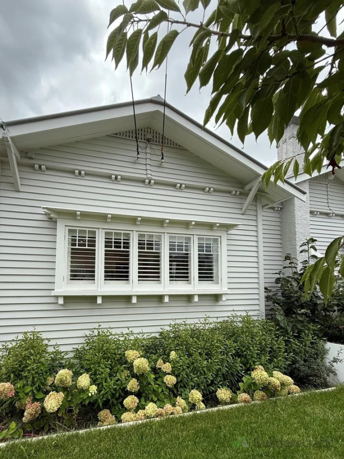 Exterior colour scheme for Auckland bungalow