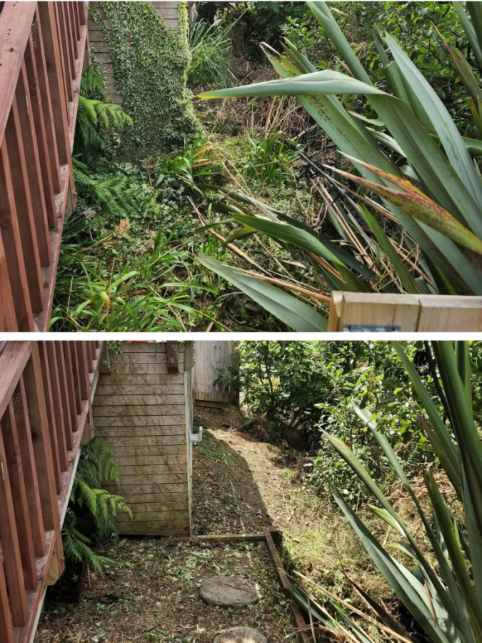 Garden tidy up removed all overgrown plants and trees
