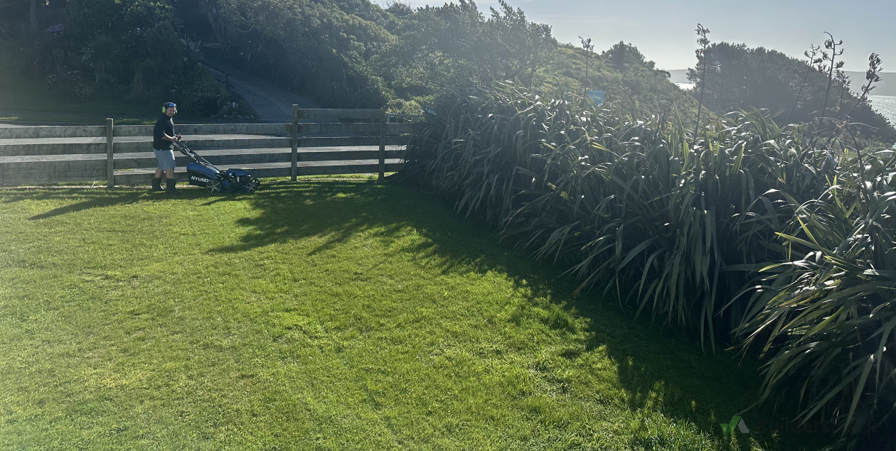 Lawn Maintenance