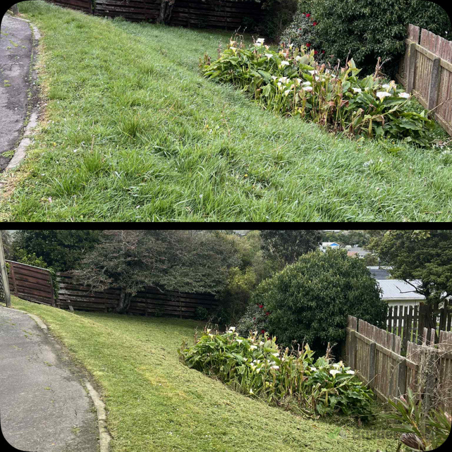 Before/ After Weedeating