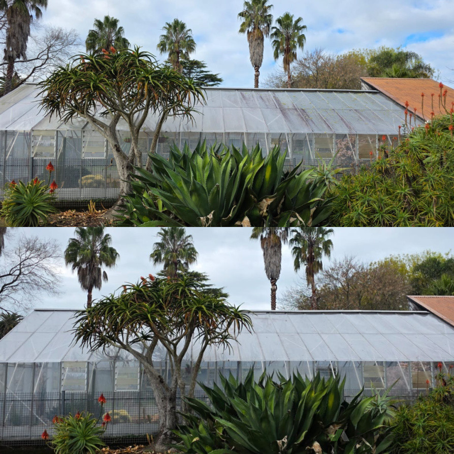 Botanical gardens 'Cactus room' pressure clean