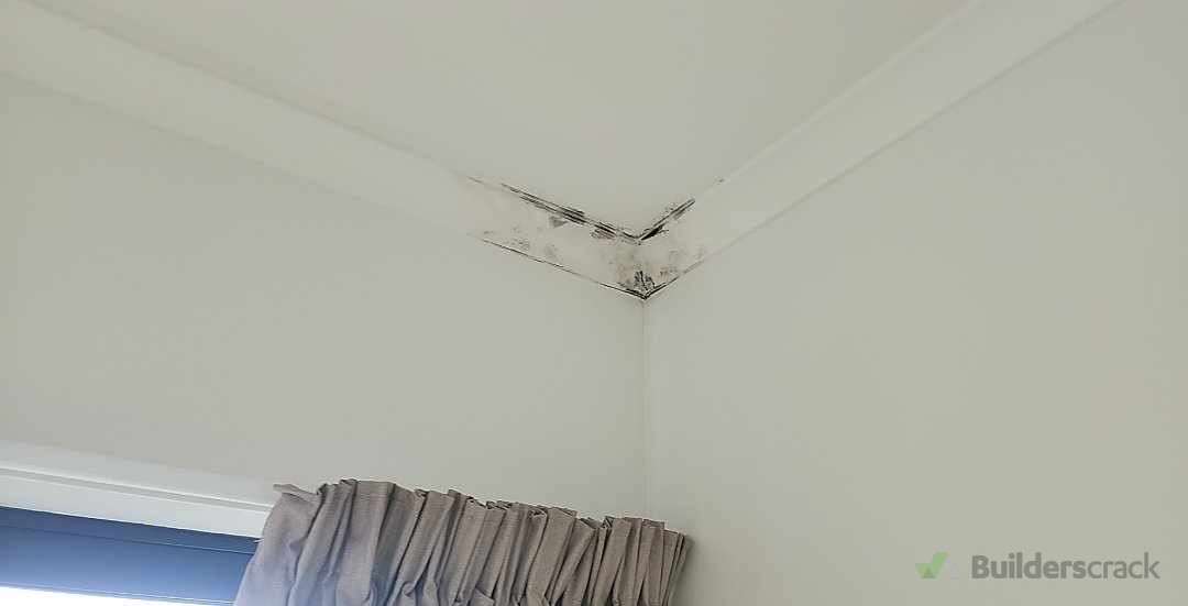 Cove repair removal and new piece installed and re painted