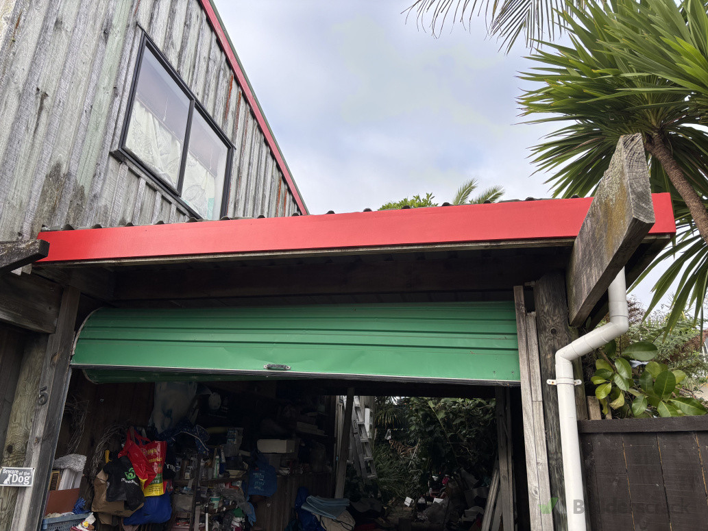 Pascia repair and repaint