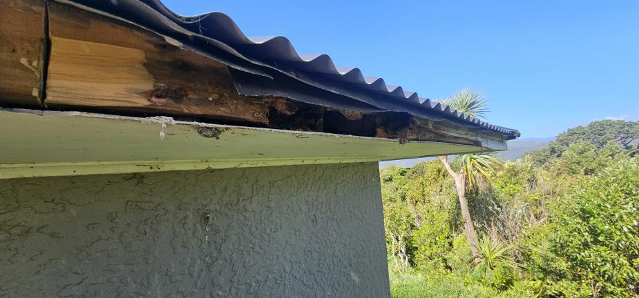 Soffits Uk Rotten Rotten soffit (#1174344) | Builderscrack