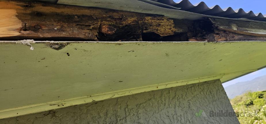 Soffits Uk Rotten Rotten soffit (#1174344) | Builderscrack