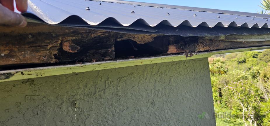 Soffits Uk Rotten Rotten soffit (#1174344) | Builderscrack