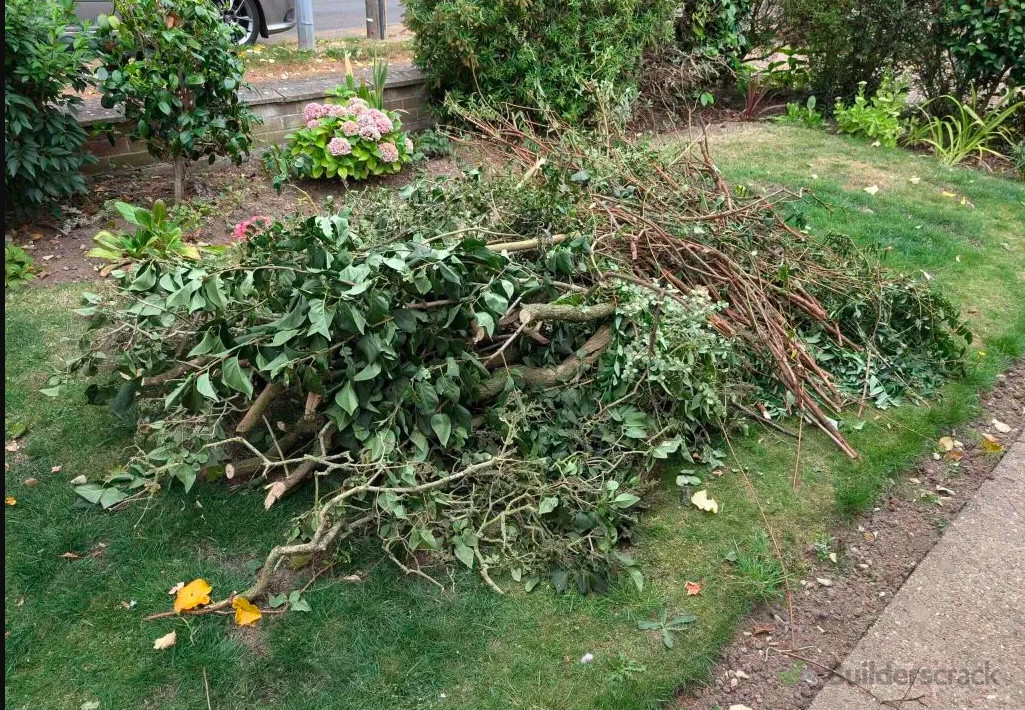 Garden waste and tree branches