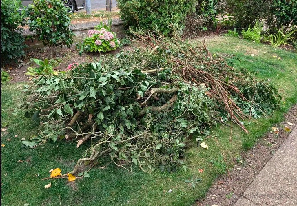 Garden waste and tree branches
