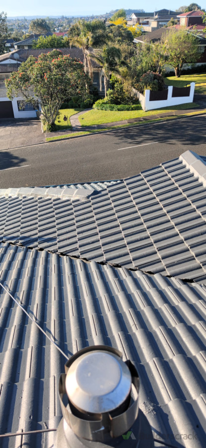 Concrete Roof Cleaning and Painting