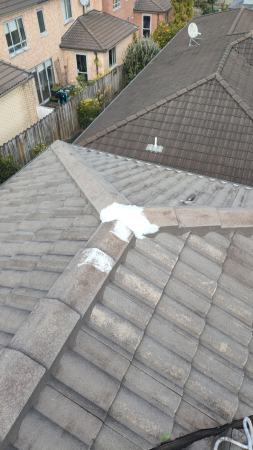Roof Ridge Repointing and Repair