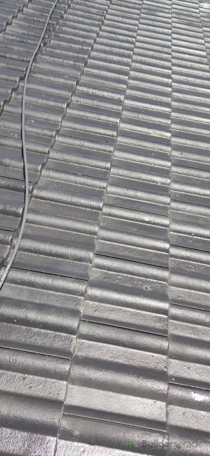 Primer Application Completed