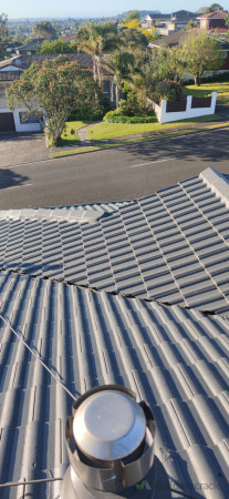 Two Top Coats Completed 3