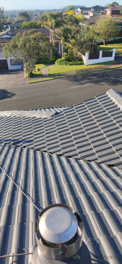 Two Top Coats Completed 3