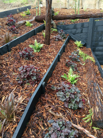 Steep 65-degree terrace constructed