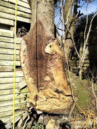 Split included stems