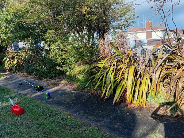 Side view of driveway