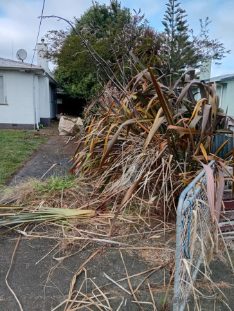 Front view  of driveway