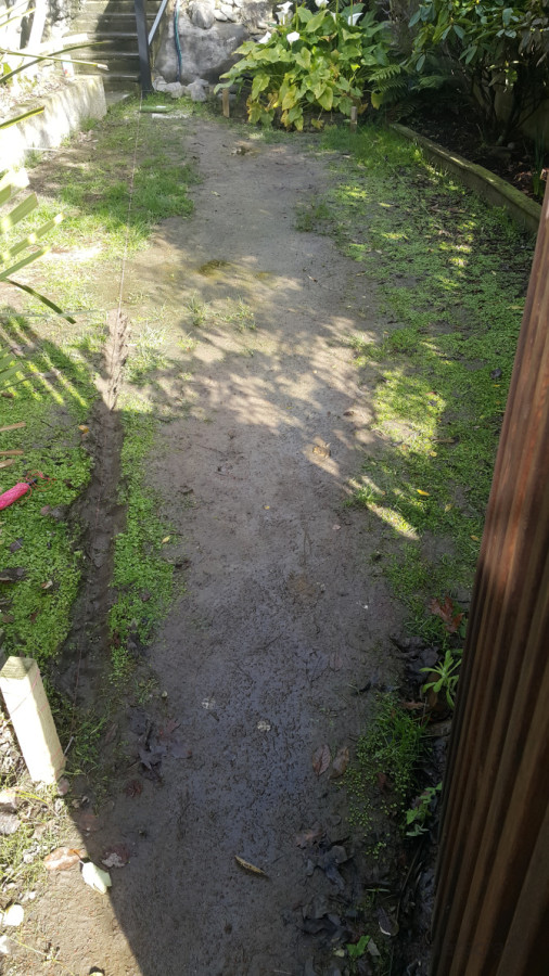 BEFORE