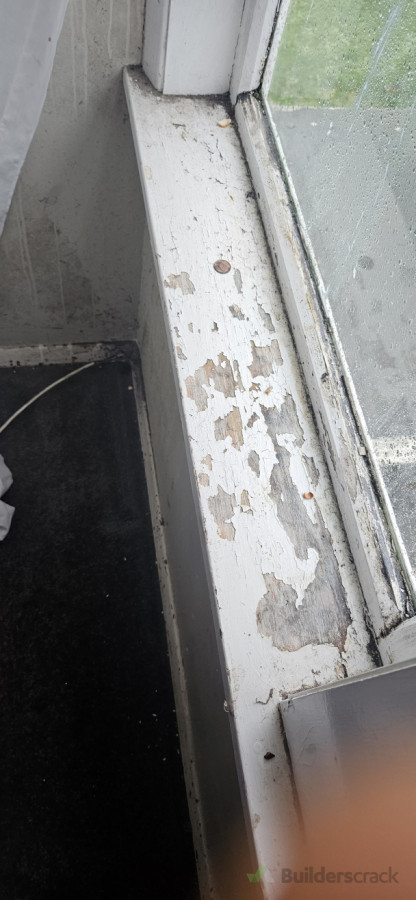 Before painting Window