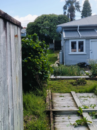 Removal of old fence