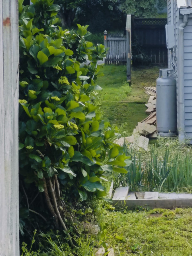 Removal of old fence