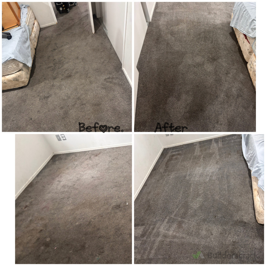Carpet Cleaning