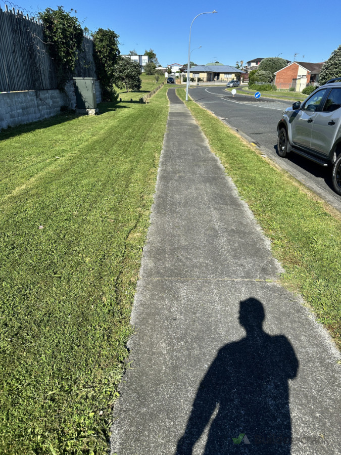 Straight lines at Pak’n Save, Clendon.