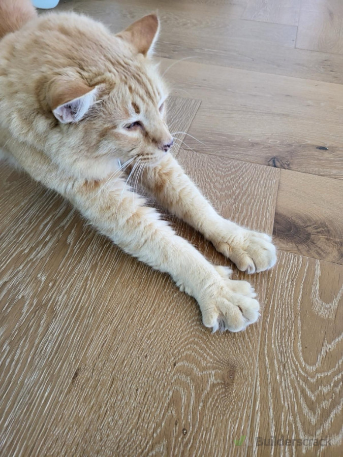 Another happy customer!