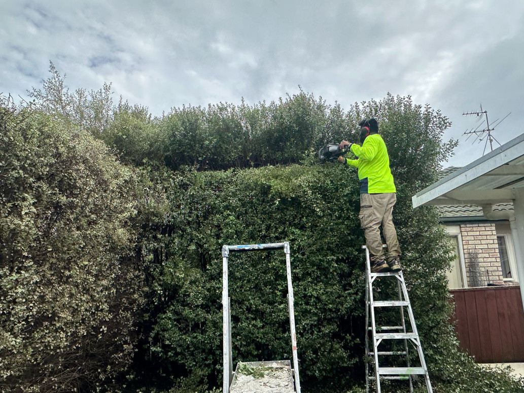 Too much growth hedges