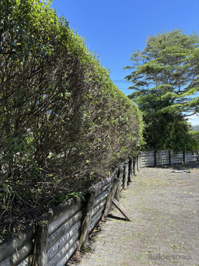 Hedges trimmed