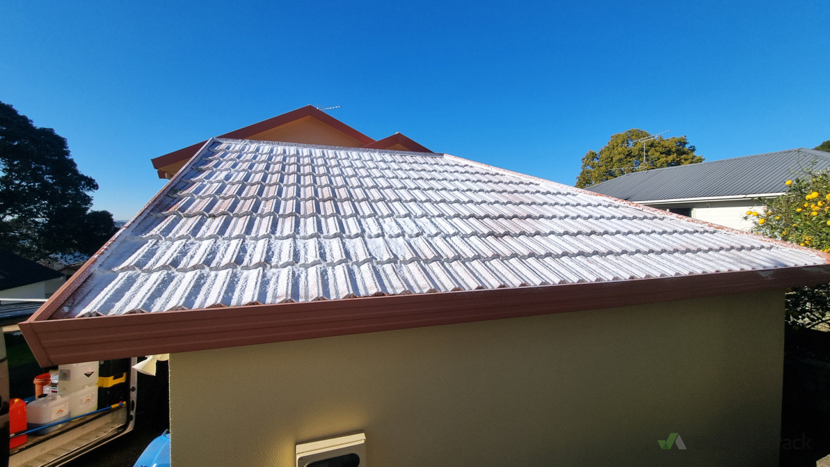 Roof Mould and Moss Treatment