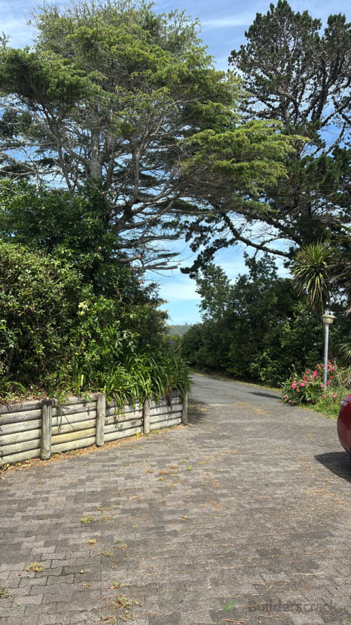 Tree trimmed and driveway free