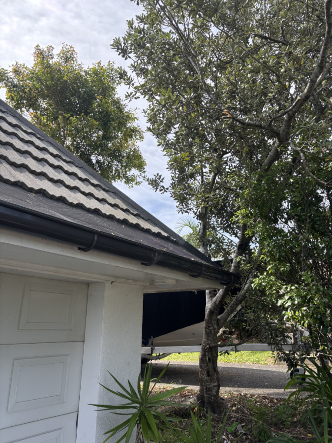 Gutter free from branches