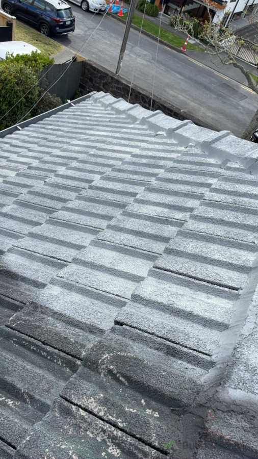 Roof spray painting