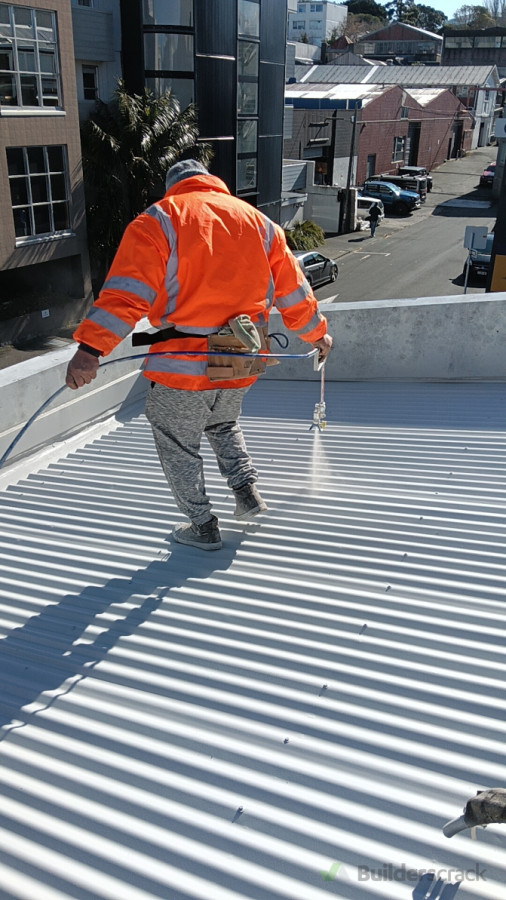 Roof painting
