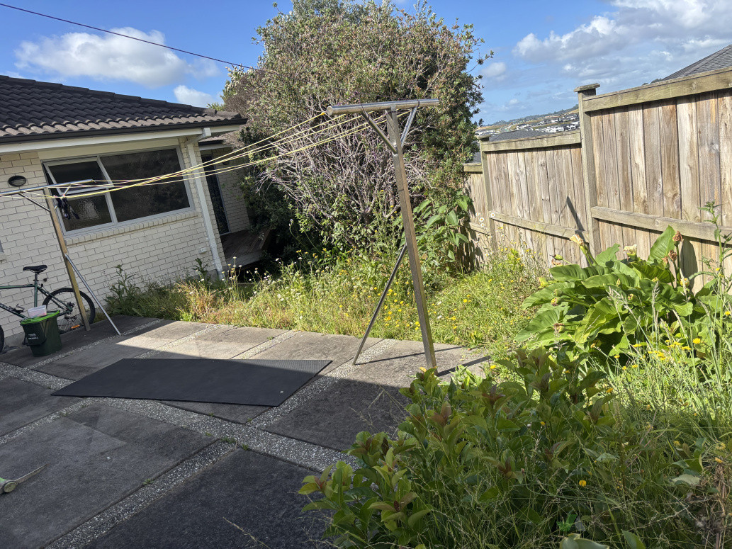 Before ( just weeds)