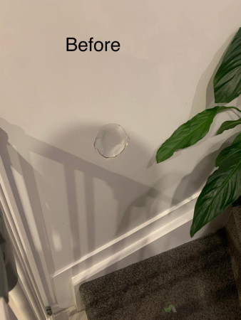 Need to patch this damage