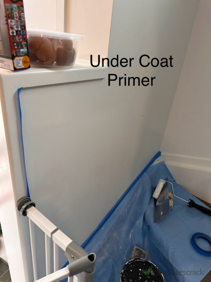 Primer part of paint to vanish all damaging leaves markings of plaster