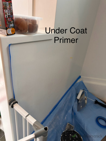 Primer part of paint to vanish all damaging leaves markings of plaster