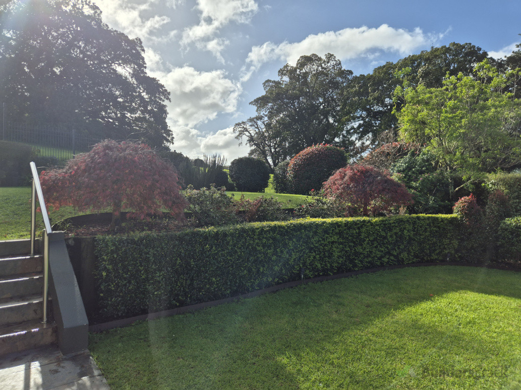 Lush growing garden, established well with regular feeding.