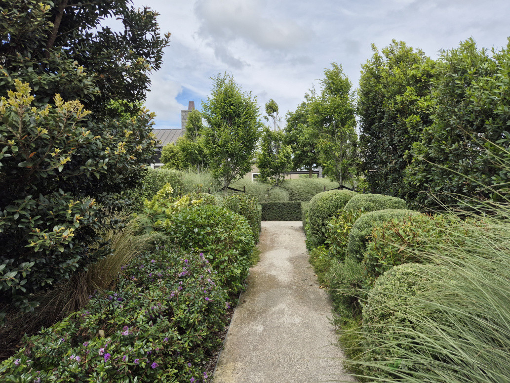 Walkway with trimmed topiarys, box hedging and other beautiful shrubs.
