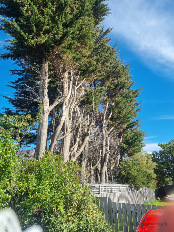 BEFORE - from the neighbour's side